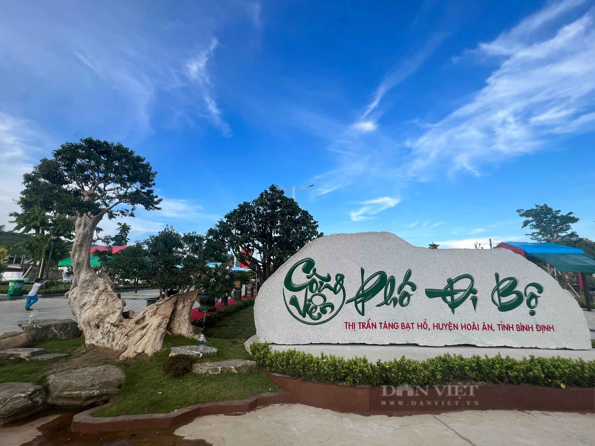 Loạt gốc bonsai "độc lạ" của gần 100 nhà vườn quy tụ về huyện trung du tại Bình Định- Ảnh 8.