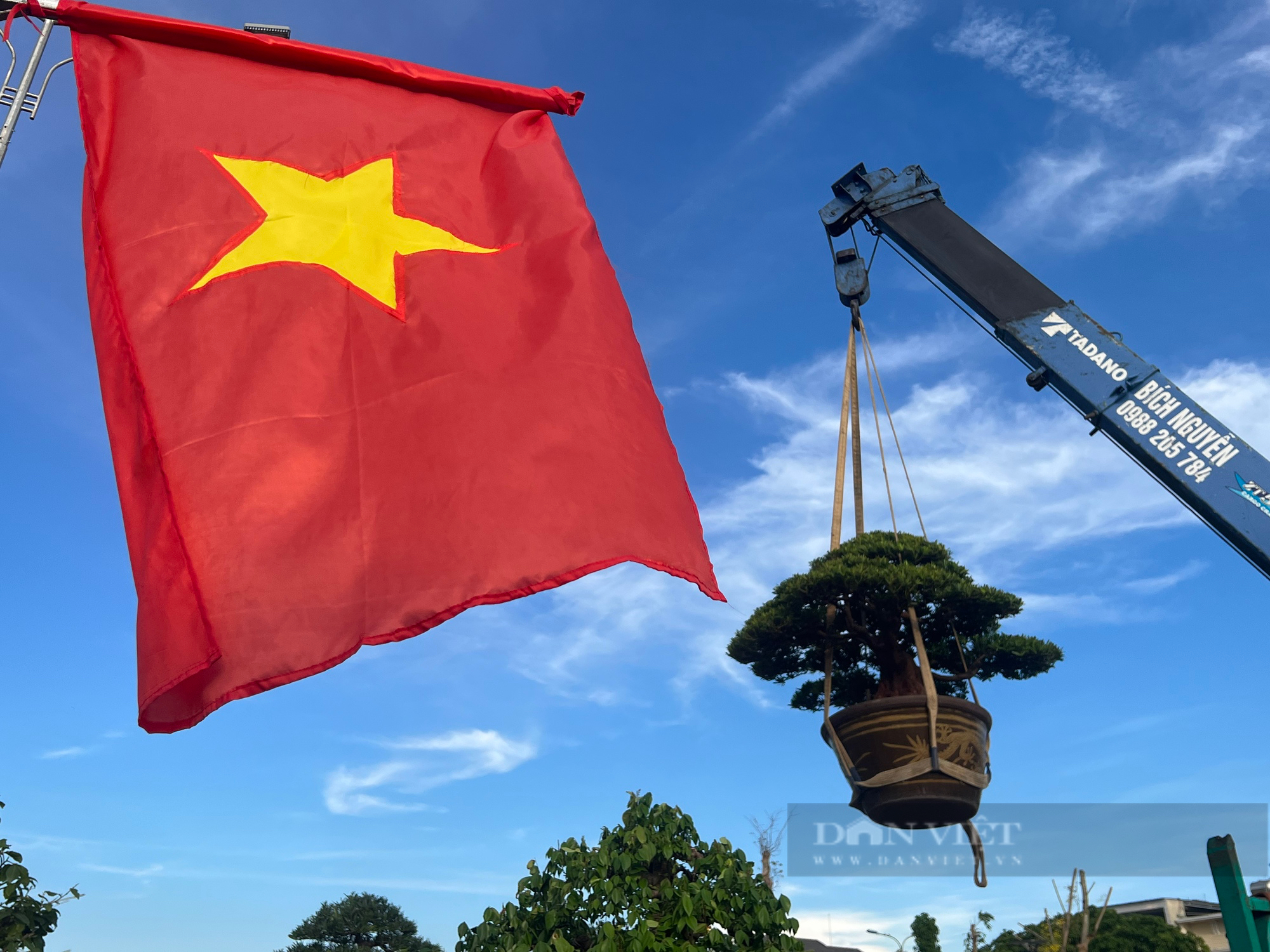 Loạt gốc bonsai "độc lạ" của gần 100 nhà vườn quy tụ về huyện trung du tại Bình Định- Ảnh 11.