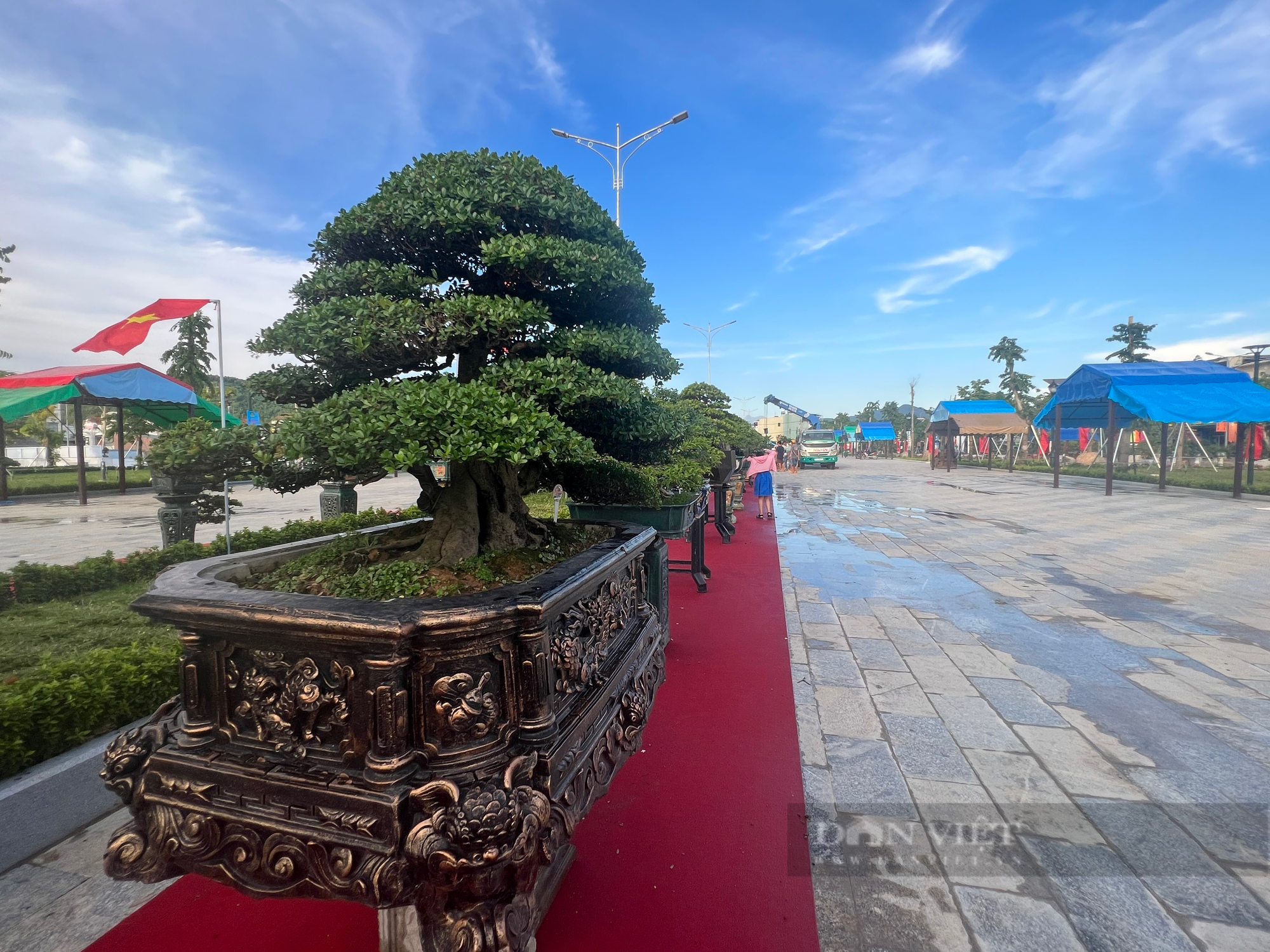 Loạt gốc bonsai "độc lạ" của gần 100 nhà vườn quy tụ về huyện trung du tại Bình Định- Ảnh 12.