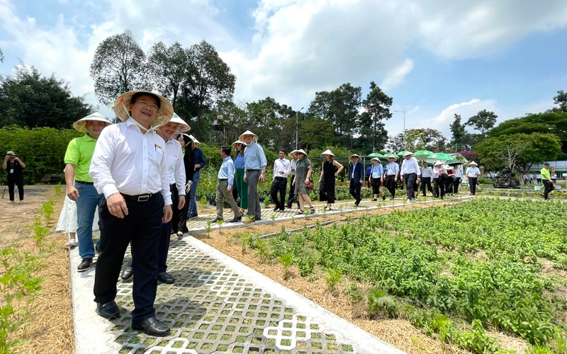 Trên diện tích 1ha ban đầu, Vườn thực phẩm cộng đồng Nong Lam Foodbank Garden chú trọng trồng nhiều loại cây trồng để tăng cường sự đa dạng dinh dưỡng. Ảnh: Trần Khánh