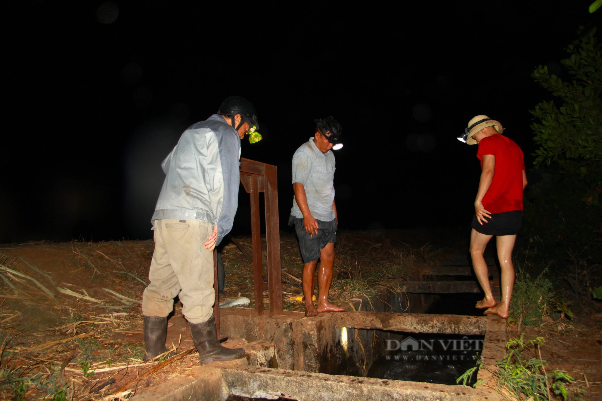 Nắng hạn kéo dài, nông dân ở Ninh Thuận đội đèn xuyên đêm "theo" nước cứu mía- Ảnh 5.