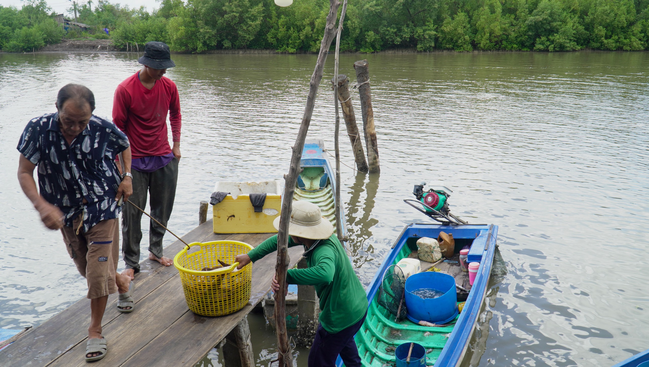 Câu kiều là câu kiểu gì mà chả cần mồi cũng bắt được cá to bự, nông dân Cà Mau thu tiền triệu mỗi ngày?- Ảnh 4.