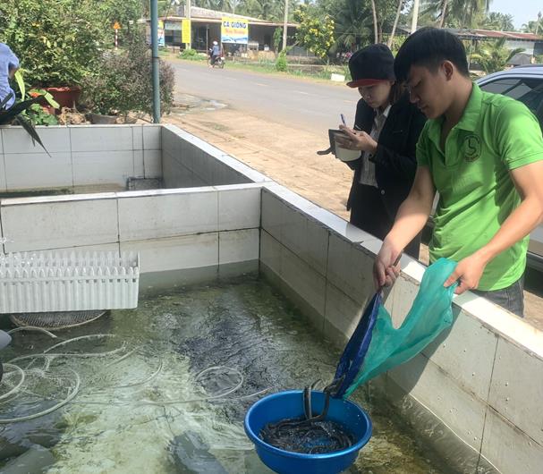 Nuôi loại cá đặc sản dày đặc ăn tốt như "nhân sâm nước", một nông dân trẻ Đồng Nai thu tiền tỷ- Ảnh 2.