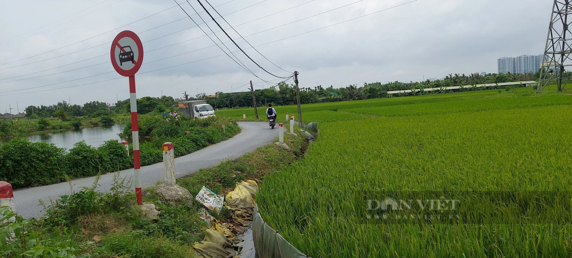 Bất chấp biển cấm, các phương tiện ô tô vẫn đi qua cầu, đường nông thôn Hải Phòng- Ảnh 5.