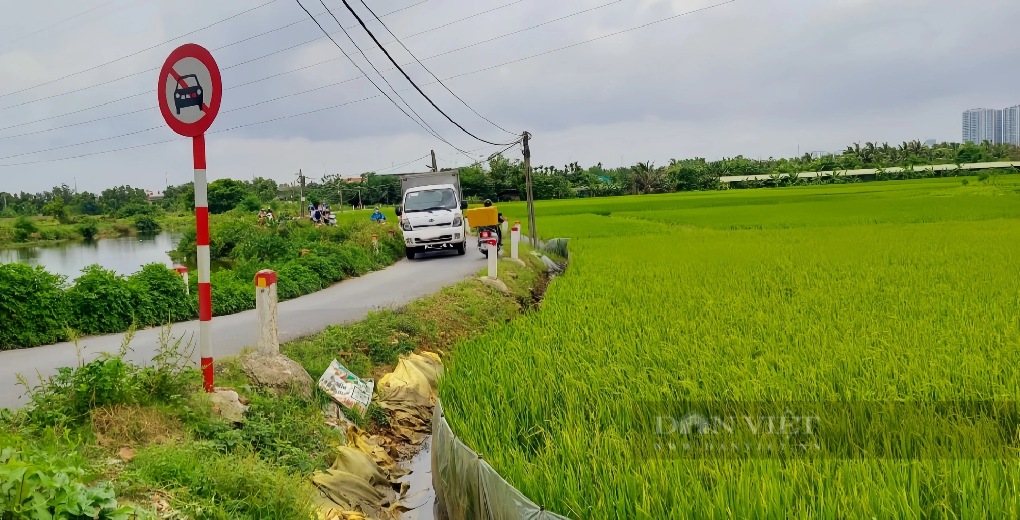 Bất chấp biển cấm, các phương tiện ô tô vẫn đi qua cầu, đường nông thôn Hải Phòng- Ảnh 7.