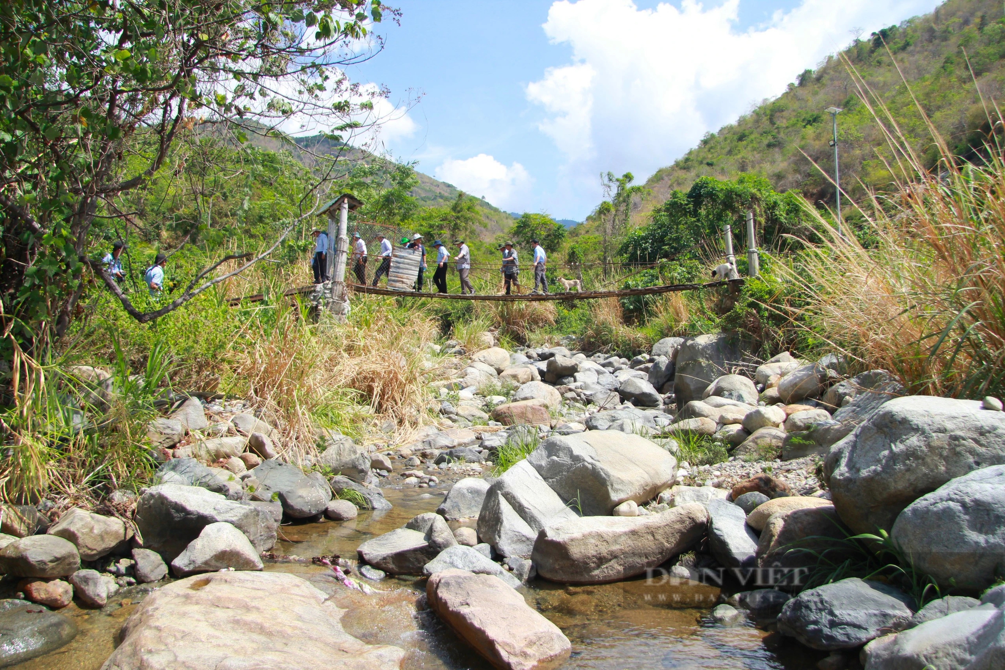 Lãnh đạo UBND tỉnh Ninh Thuận chỉ đạo ứng phó tỉnh trạng hạn hán khiến sầu riêng nguy cơ chết héo- Ảnh 1.