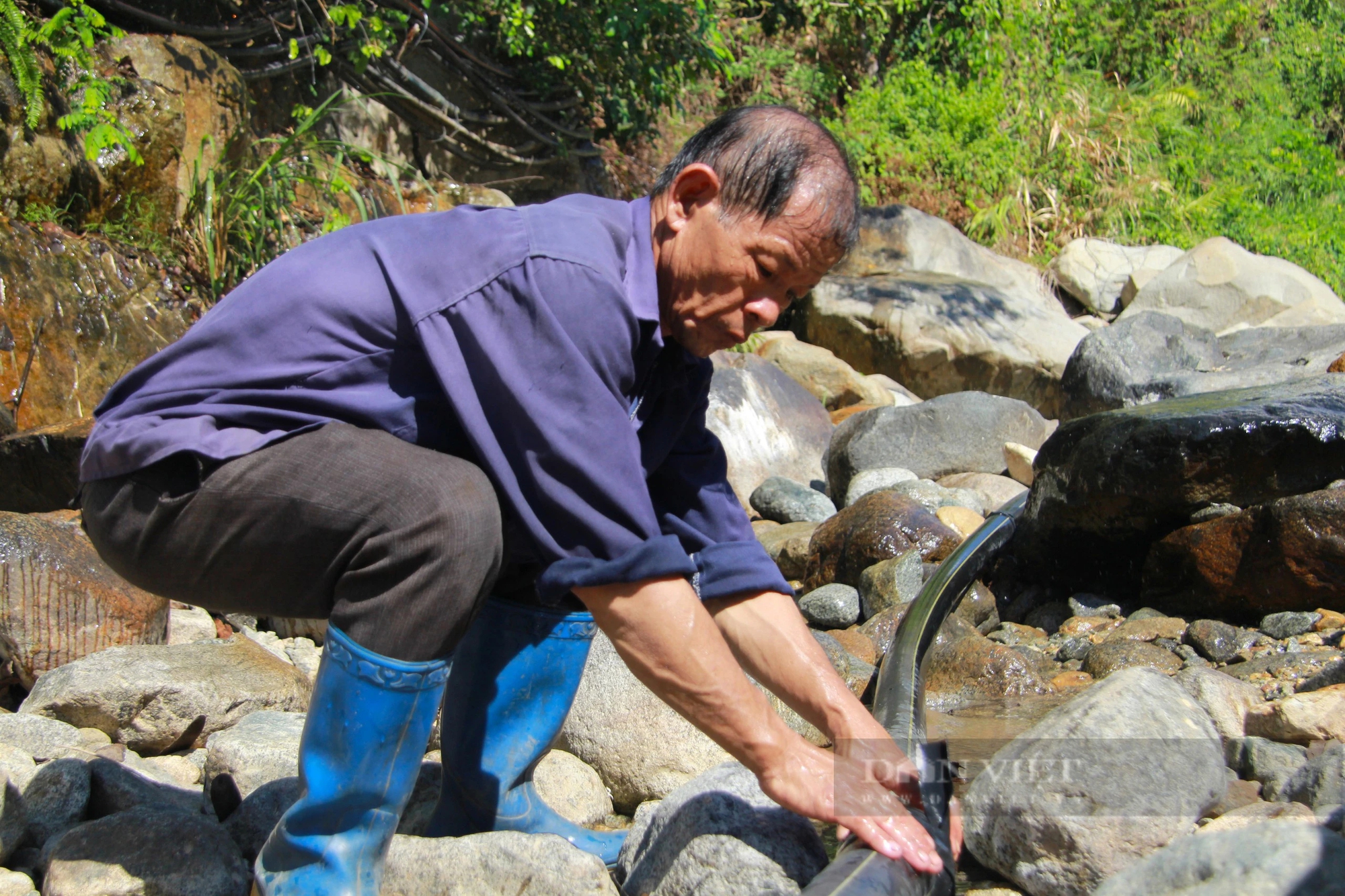 Lãnh đạo UBND tỉnh Ninh Thuận chỉ đạo ứng phó tỉnh trạng hạn hán khiến sầu riêng nguy cơ chết héo- Ảnh 5.