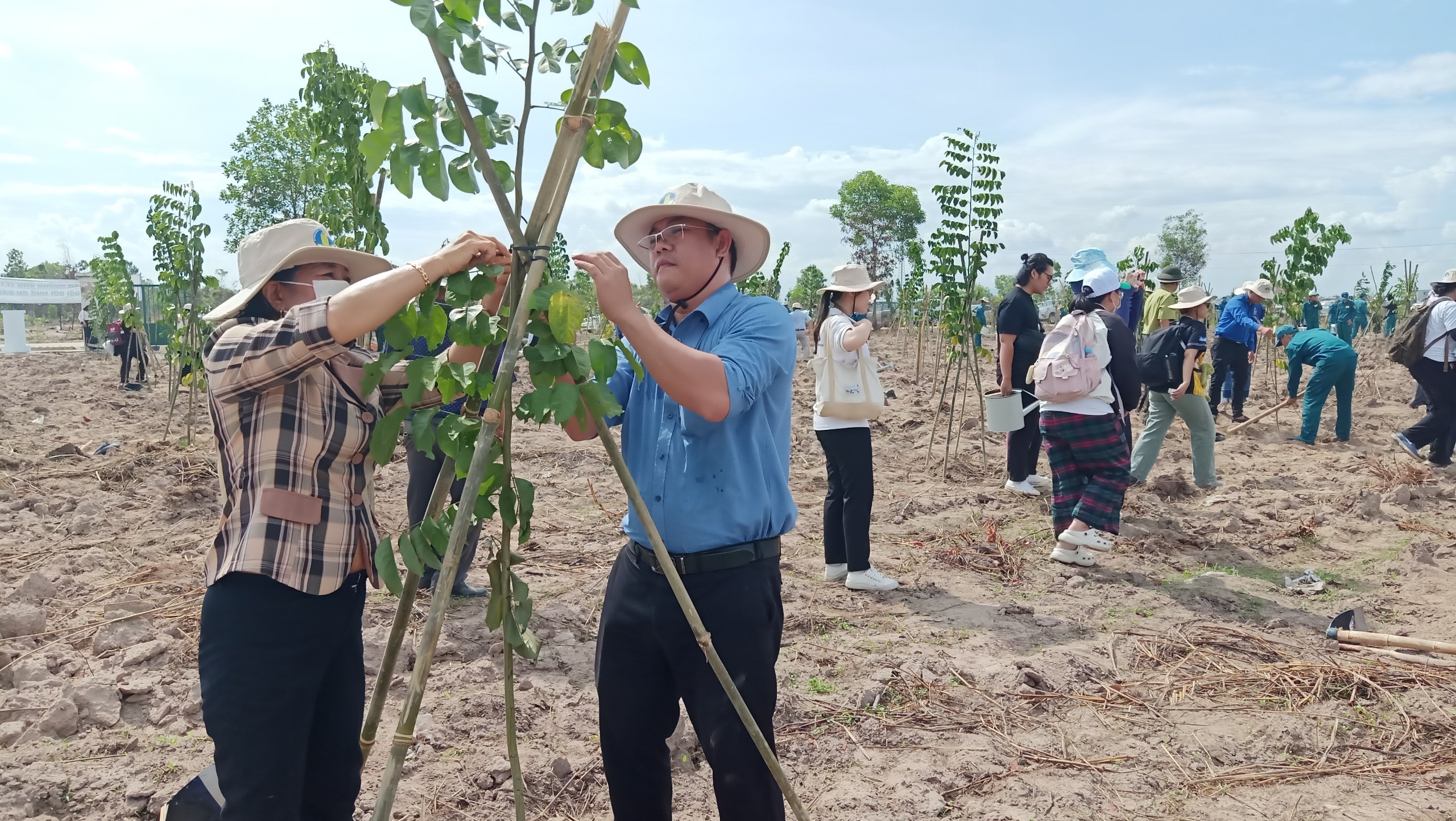 3 năm triển khai Đề án 1 tỷ cây xanh: Trồng được 770 triệu cây, vượt 121% kế hoạch- Ảnh 4.