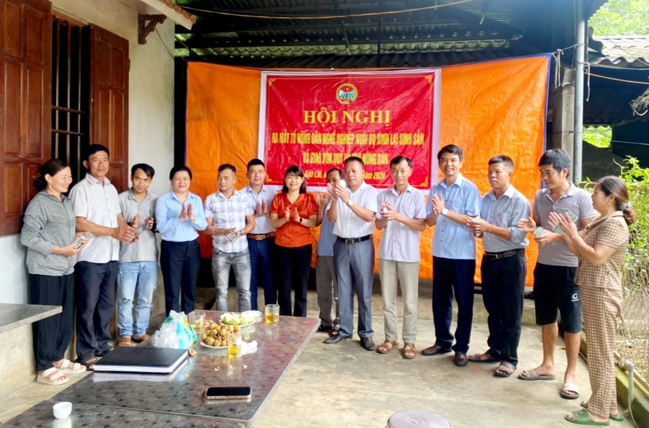 Ninh Bình: Ra mắt tổ hội nông dân nghề nghiệp, tổ hợp tác và giải ngân nguồn vốn Quỹ Hỗ trợ nông dân- Ảnh 1.
