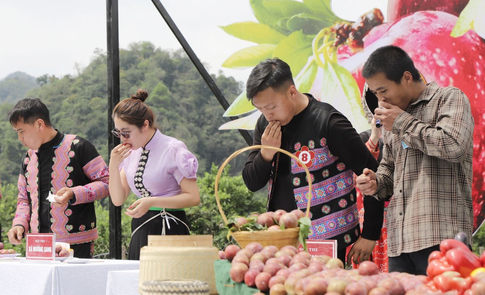 Hấp dẫn ngày hội hái quả mận hậu trên cao nguyên Mộc Châu- Ảnh 11.