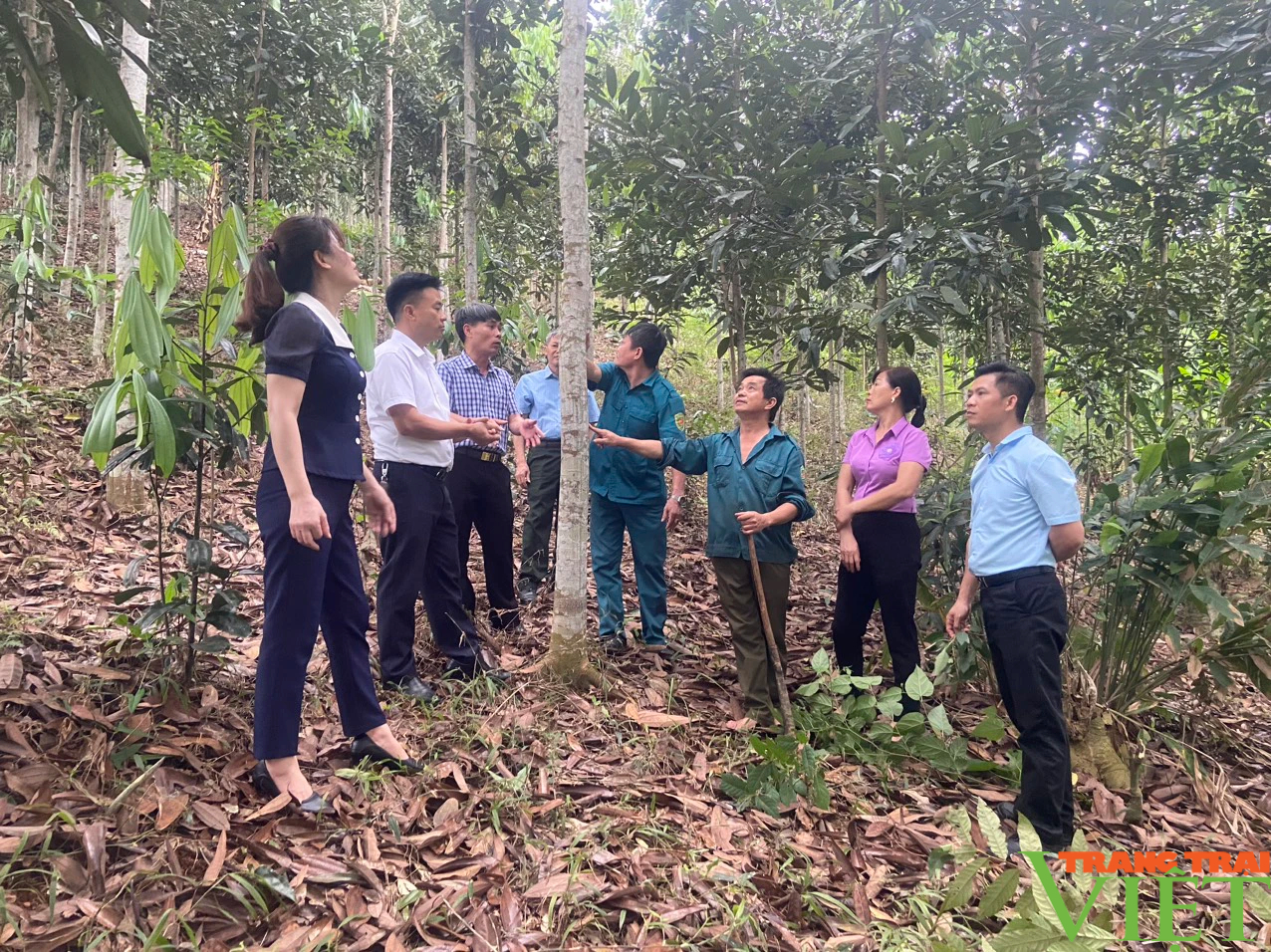 Hội viên, nông dân Lào Cai thăm quan, học tập mô hình phát triển kinh tế ở Xuân Quang- Ảnh 1.