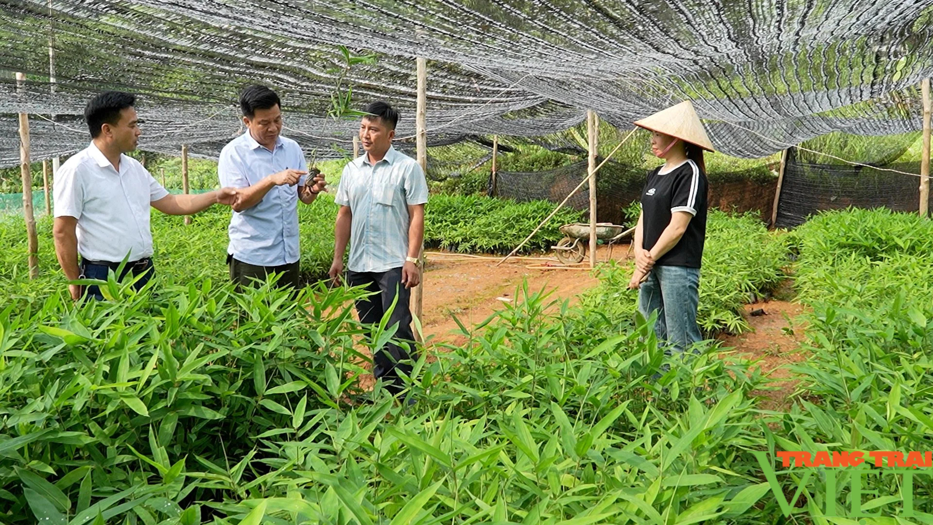 Hội viên, nông dân Lào Cai thăm quan, học tập mô hình phát triển kinh tế ở Xuân Quang- Ảnh 2.