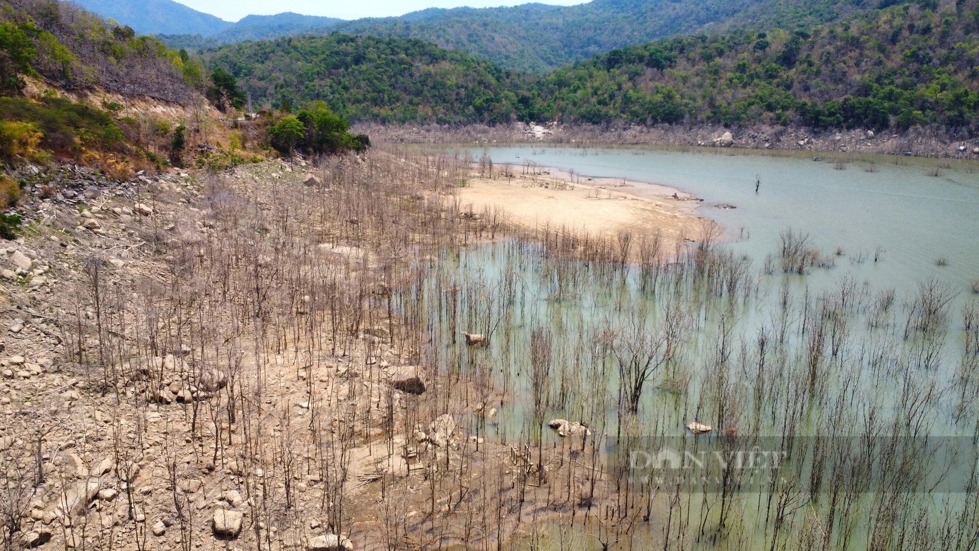 Một dòng sông, một cái hồ ví là trái tim thủy lợi ở Ninh Thuận đang "lịm đi" bởi thiếu nước- Ảnh 5.