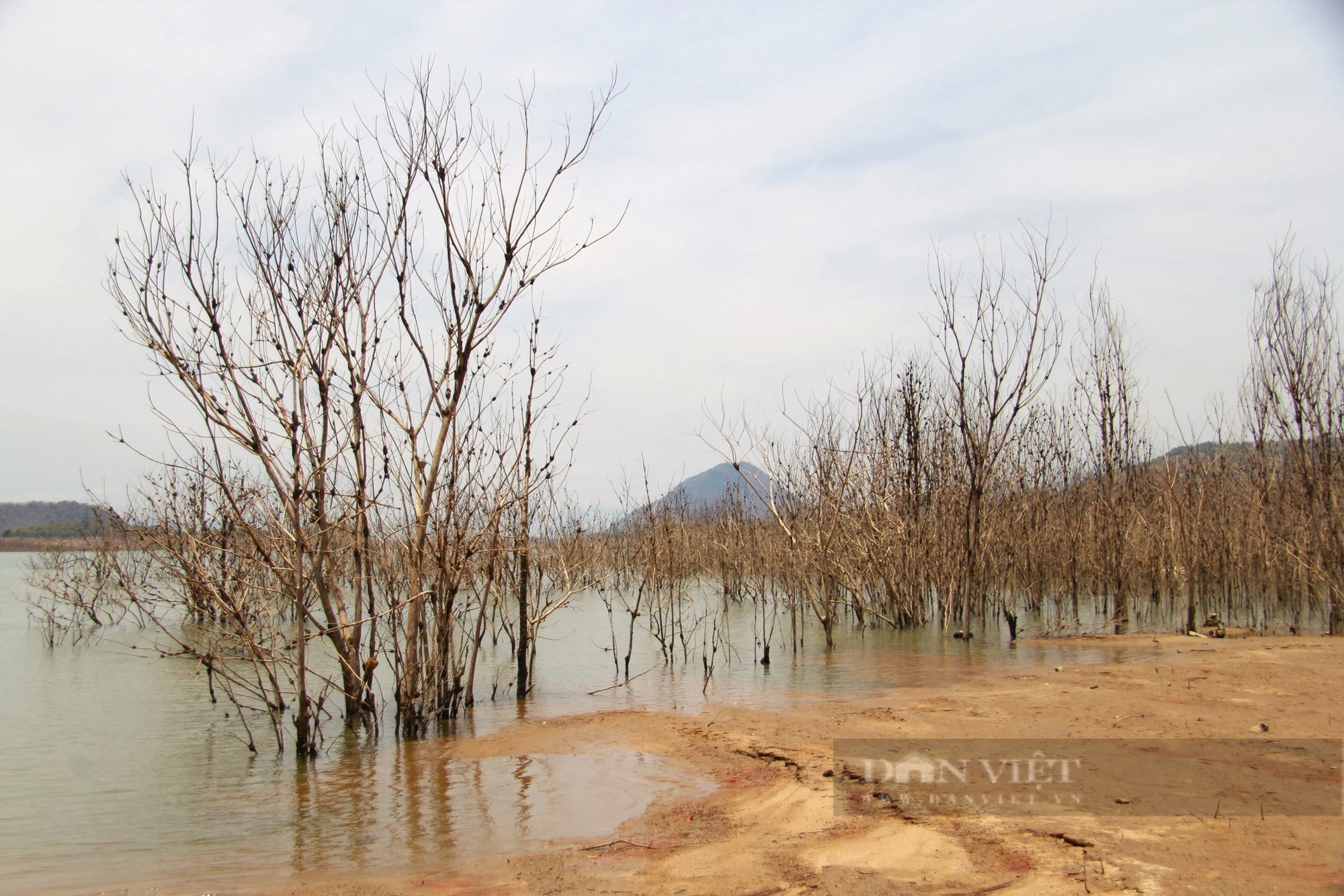 Một dòng sông, một cái hồ ví là trái tim thủy lợi ở Ninh Thuận đang "lịm đi" bởi thiếu nước- Ảnh 6.