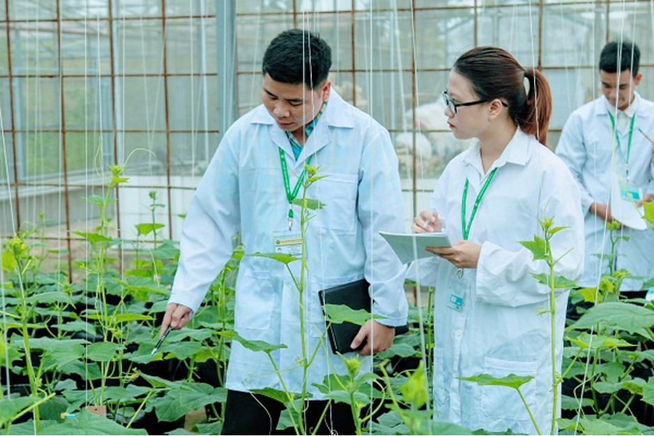 Hàng loạt sản phẩm giống cây trồng, vật nuôi, thuốc...được các nhà khoa học Học viện Nông nghiệp Việt Nam đưa vào ứng dụng - Ảnh 3.