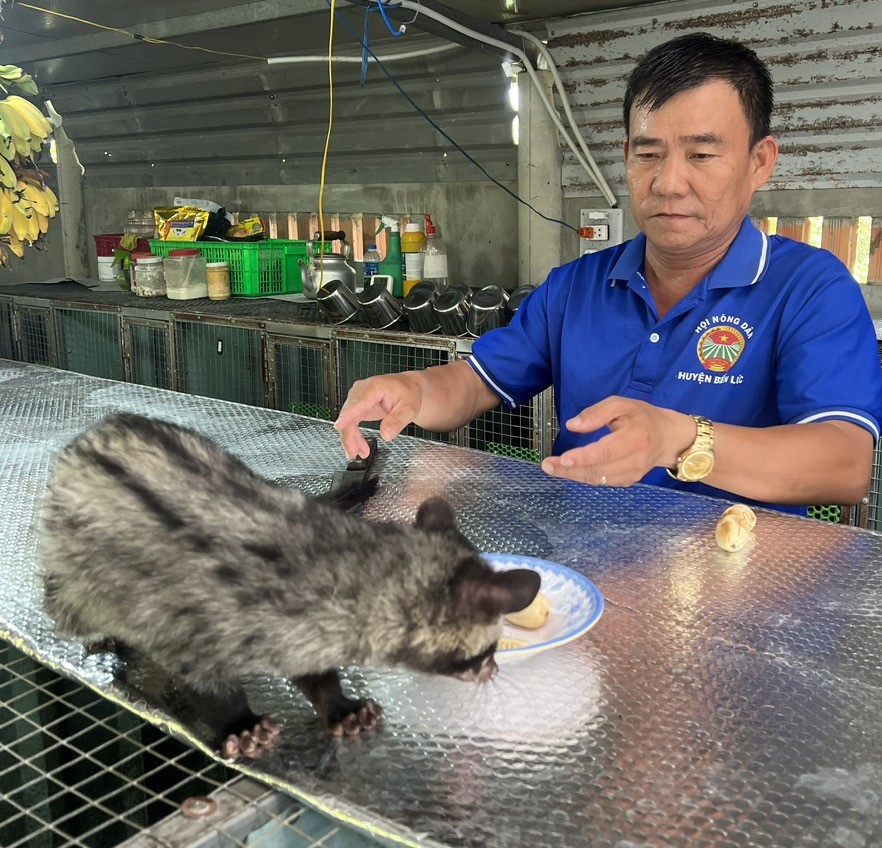 Con động vật này vốn là loài hoang dã, ông nông dân Long An bóc chuối chín cho ăn, bán 7-8 triệu/con- Ảnh 1.