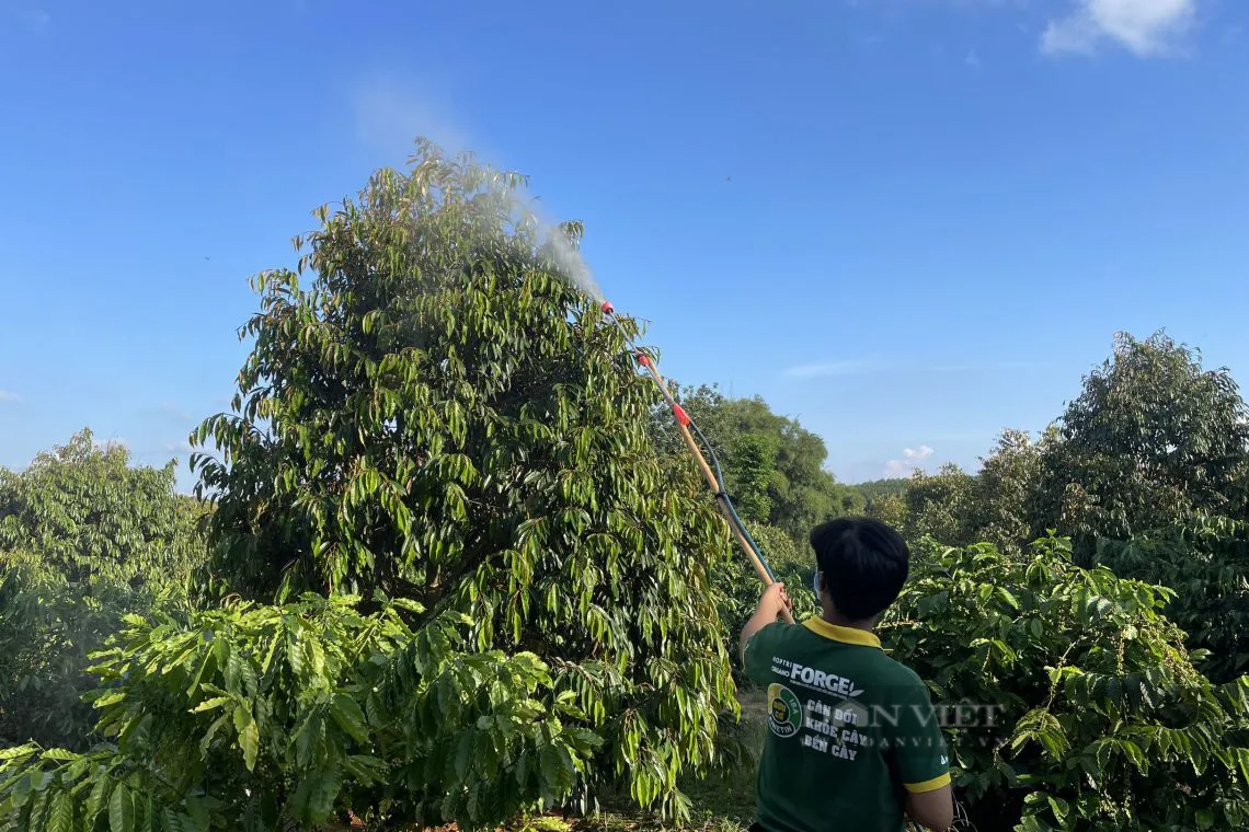 Ngành chức năng Bình Phước khuyến cáo nông dân cách phòng, chống một loại "tội phạm đặc biệt"- Ảnh 4.