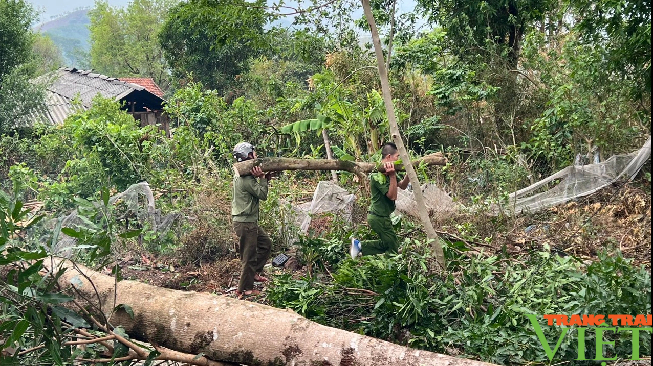 Mưa to, gió lốc gây thiệt hại về nhà cửa, hoa màu trên địa bàn huyện Mường La- Ảnh 1.