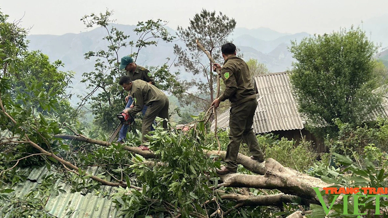 Mưa to, gió lốc gây thiệt hại về nhà cửa, hoa màu trên địa bàn huyện Mường La- Ảnh 2.