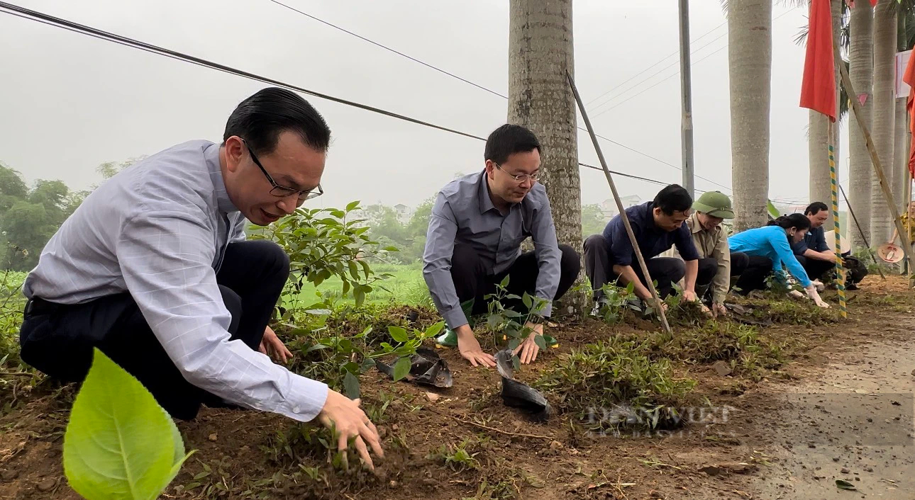 Sáp nhập ở Yên Bái và cách 