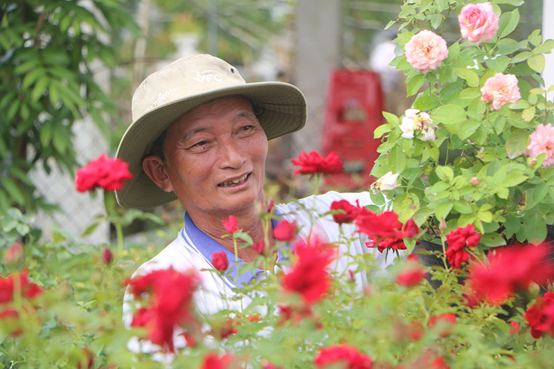 Bên một dòng sông thơ mộng ở Đồng Tháp, bước vô vườn hoa hồng đẹp như phim, la liệt loài hoa hồng cổ- Ảnh 1.