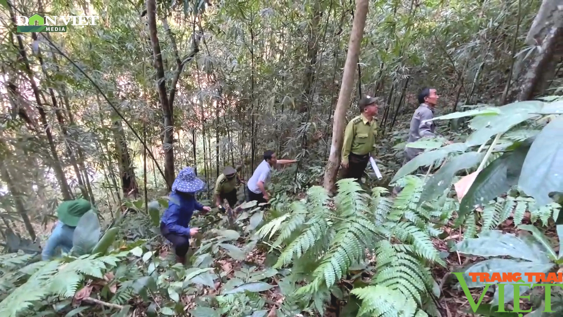 Kiểm lâm Sơn La không ngừng nỗ lực, kiên trì bảo vệ và phát triển rừng- Ảnh 2.