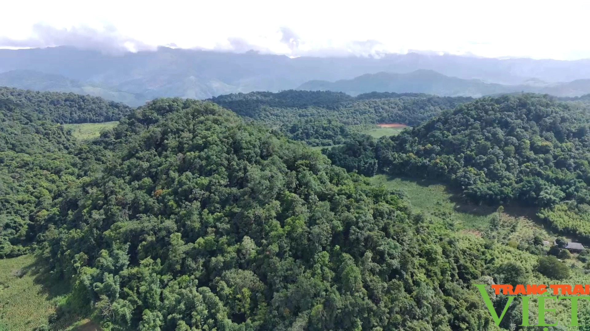 Kiểm lâm Sơn La không ngừng nỗ lực, kiên trì bảo vệ và phát triển rừng- Ảnh 5.