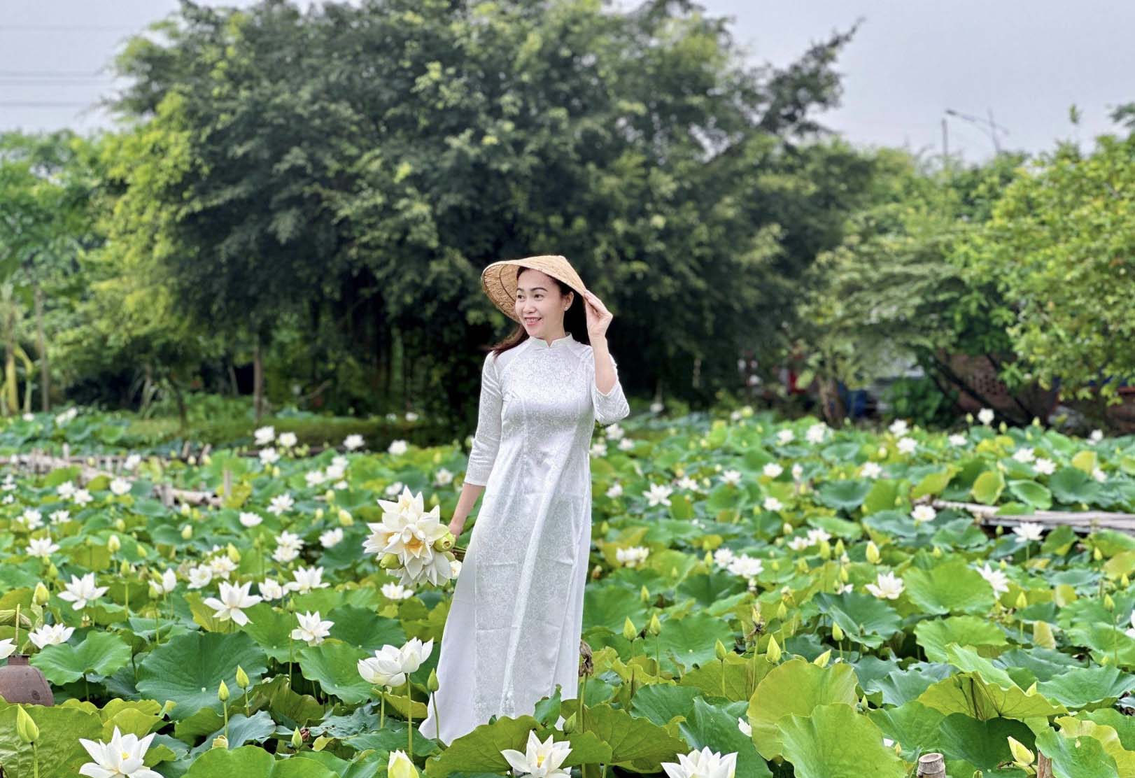 Hàng nghìn bông sen trắng khoe sắc hút du khách check-in ở Hà Nội- Ảnh 5.