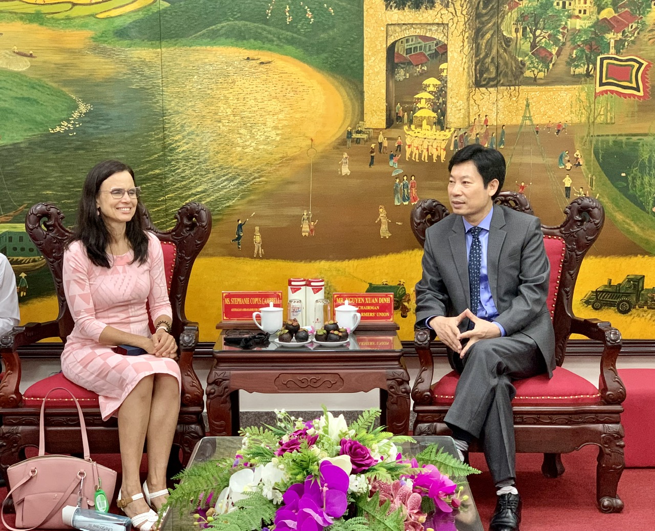 Phó Chủ tịch Trung ương Hội NDVN Nguyễn Xuân Định làm việc với Đại sứ Úc về bình đẳng giới- Ảnh 1.