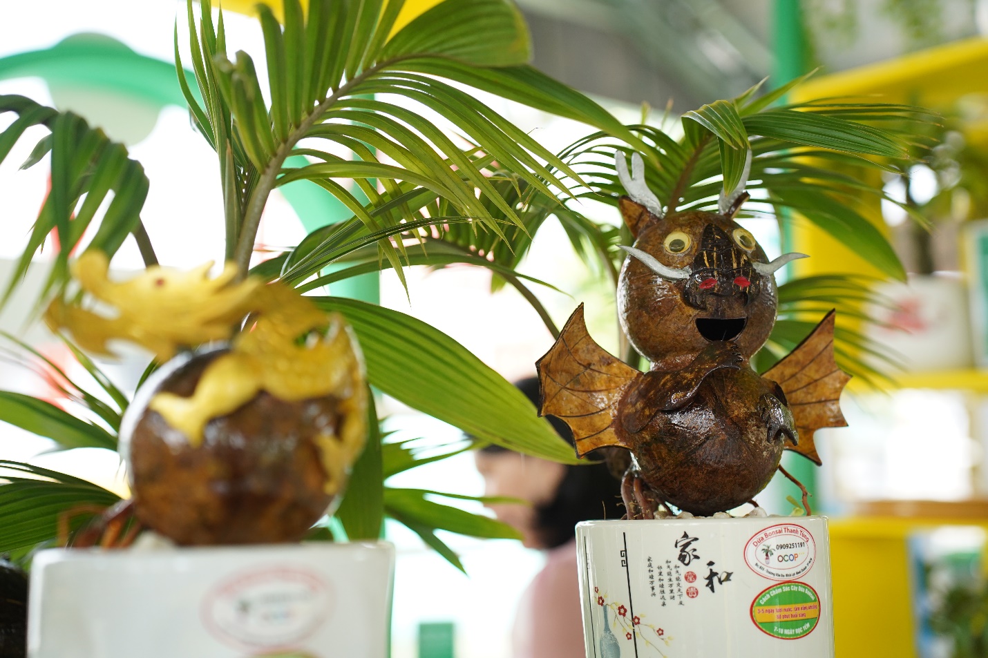 Ghé hội chợ OCOP TP.HCM ngắm bonsai dừa, nếm cá trắm kho riềng, nem cua bể- Ảnh 7.