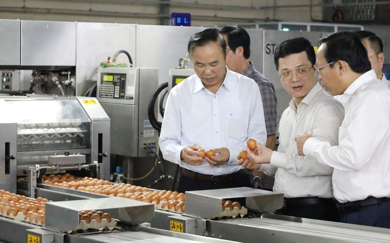 Lãnh đạo Bộ NNPTNT trong một lần tham quan khu sơ chế đóng gói trứng gà của Công ty QL, Tây Ninh. Ảnh: Minh Dương