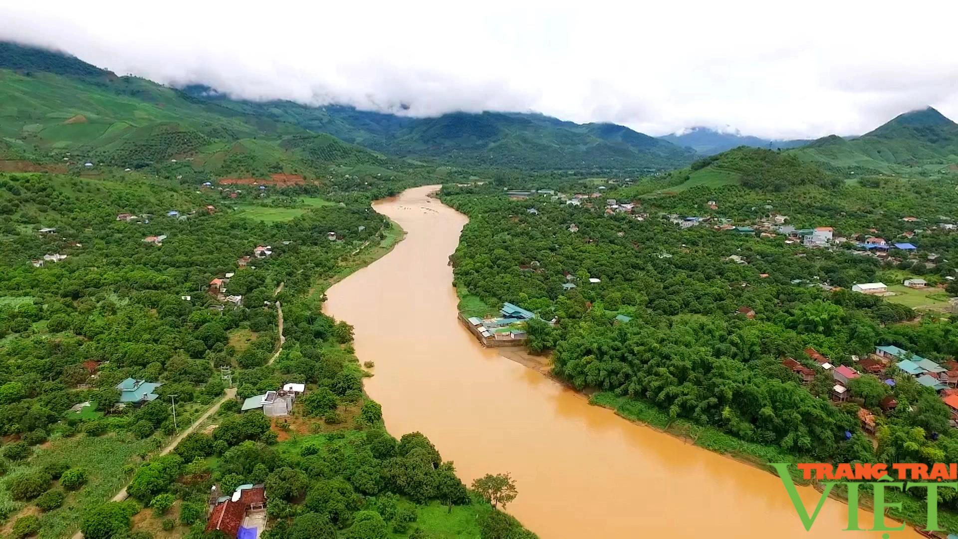 Sơn La: Nhãn chín sớm trên vùng cao biên giới Sông Mã- Ảnh 1.