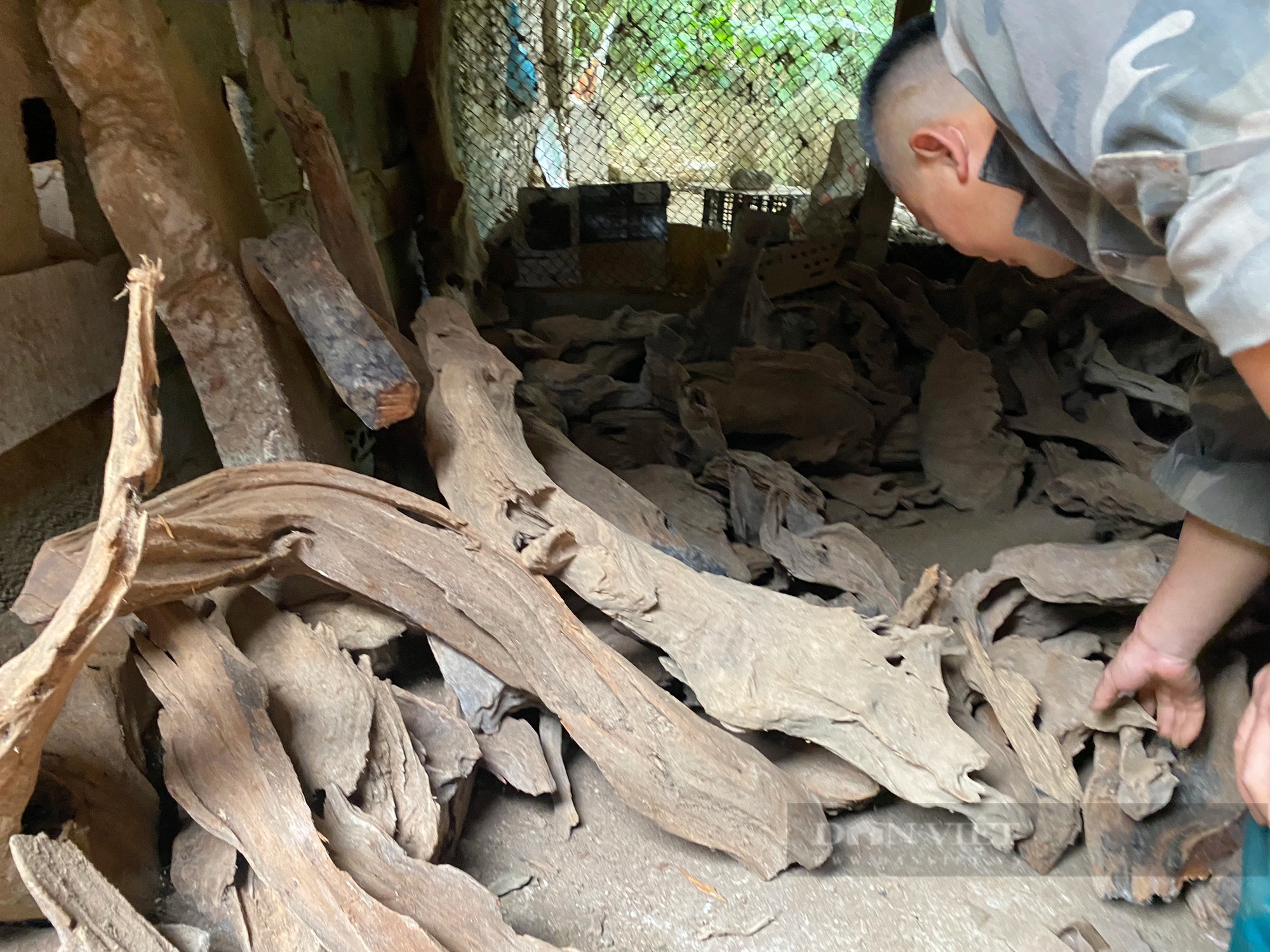 Phát hiện, xử lý nhiều cơ sở tàng trữ trái phép gỗ quý hiếm ở Hà Giang sau tin báo của Dân Việt- Ảnh 4.