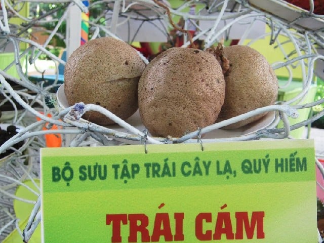 Loại quả “thơm lừng, ngọt mát” nhưng 90% người Việt không biết tên- Ảnh 2.