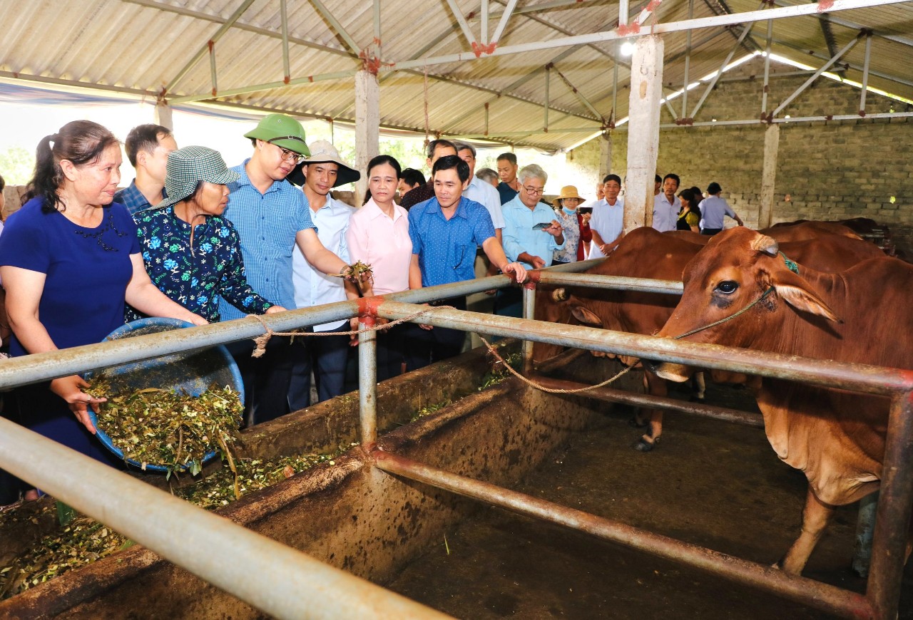 Ninh Bình: Cán bộ, hội viên nông dân thăm quan mô hình xử lý rác thải hữu cơ tại Nho Quan- Ảnh 2.