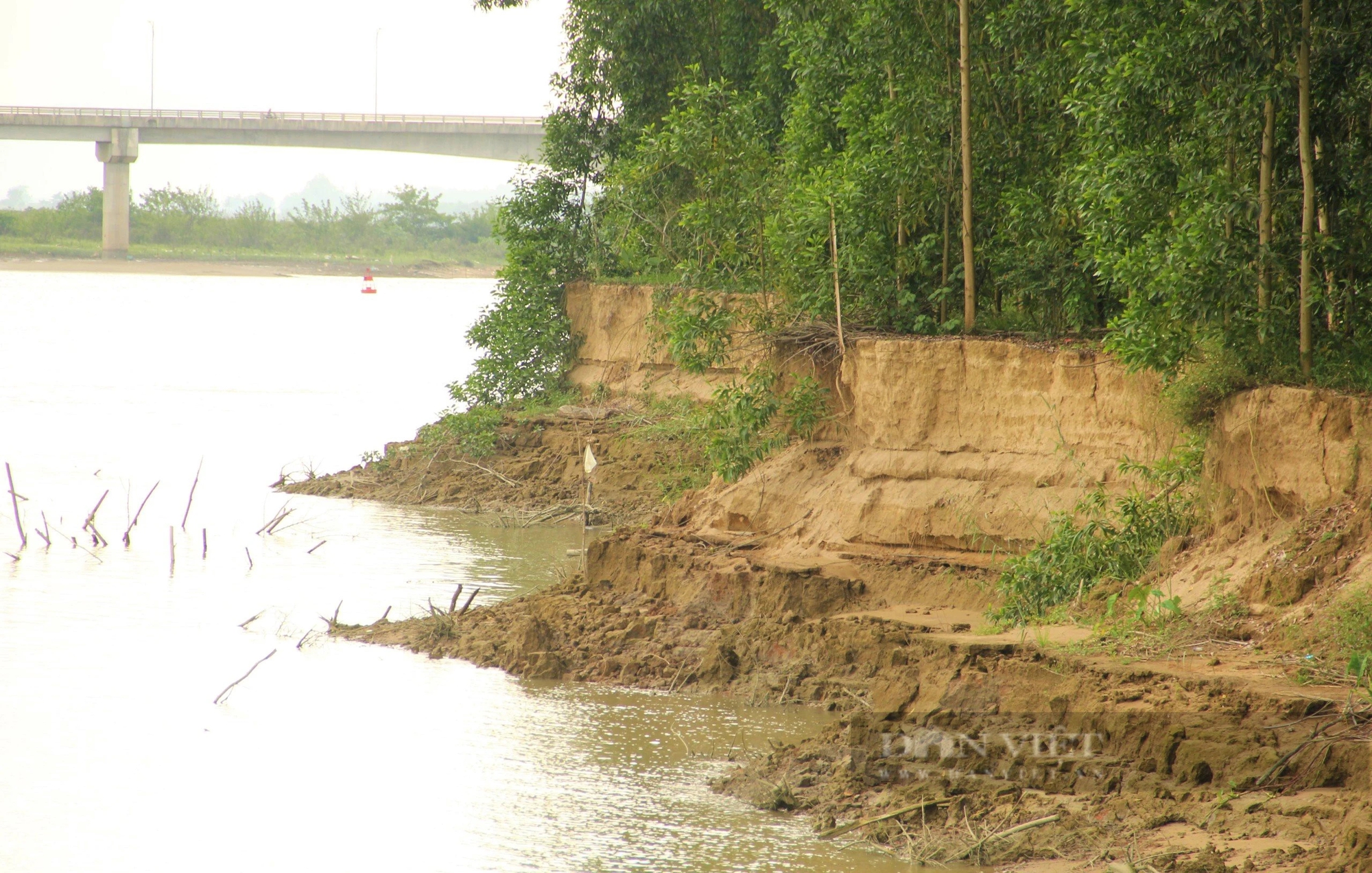 Dân Nghệ An đang lo một dòng sông nổi tiếng "nuốt trôi" đất bãi, rau màu- Ảnh 4.