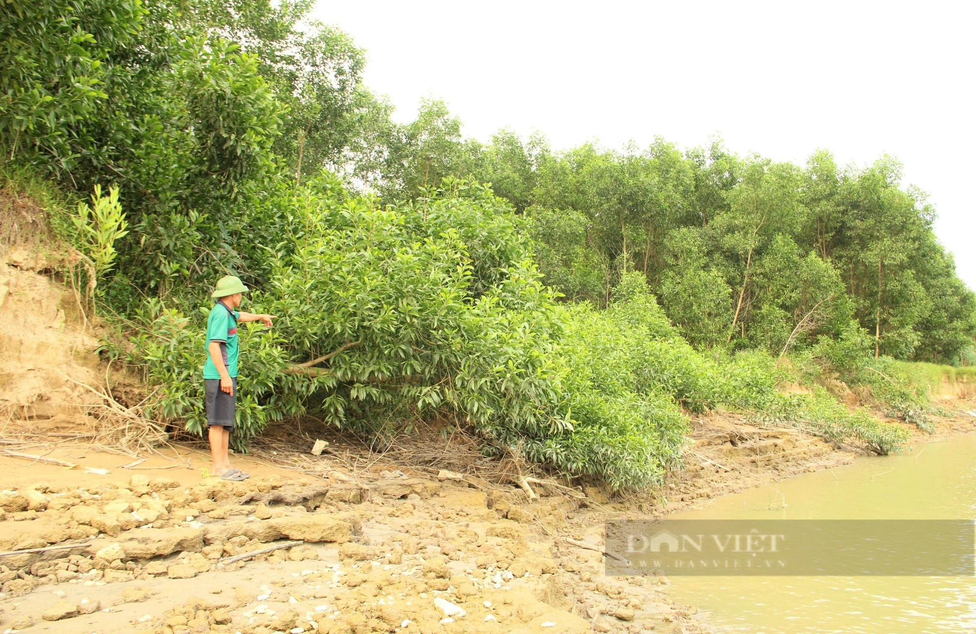 Dân Nghệ An đang lo một dòng sông nổi tiếng "nuốt trôi" đất bãi, rau màu- Ảnh 7.