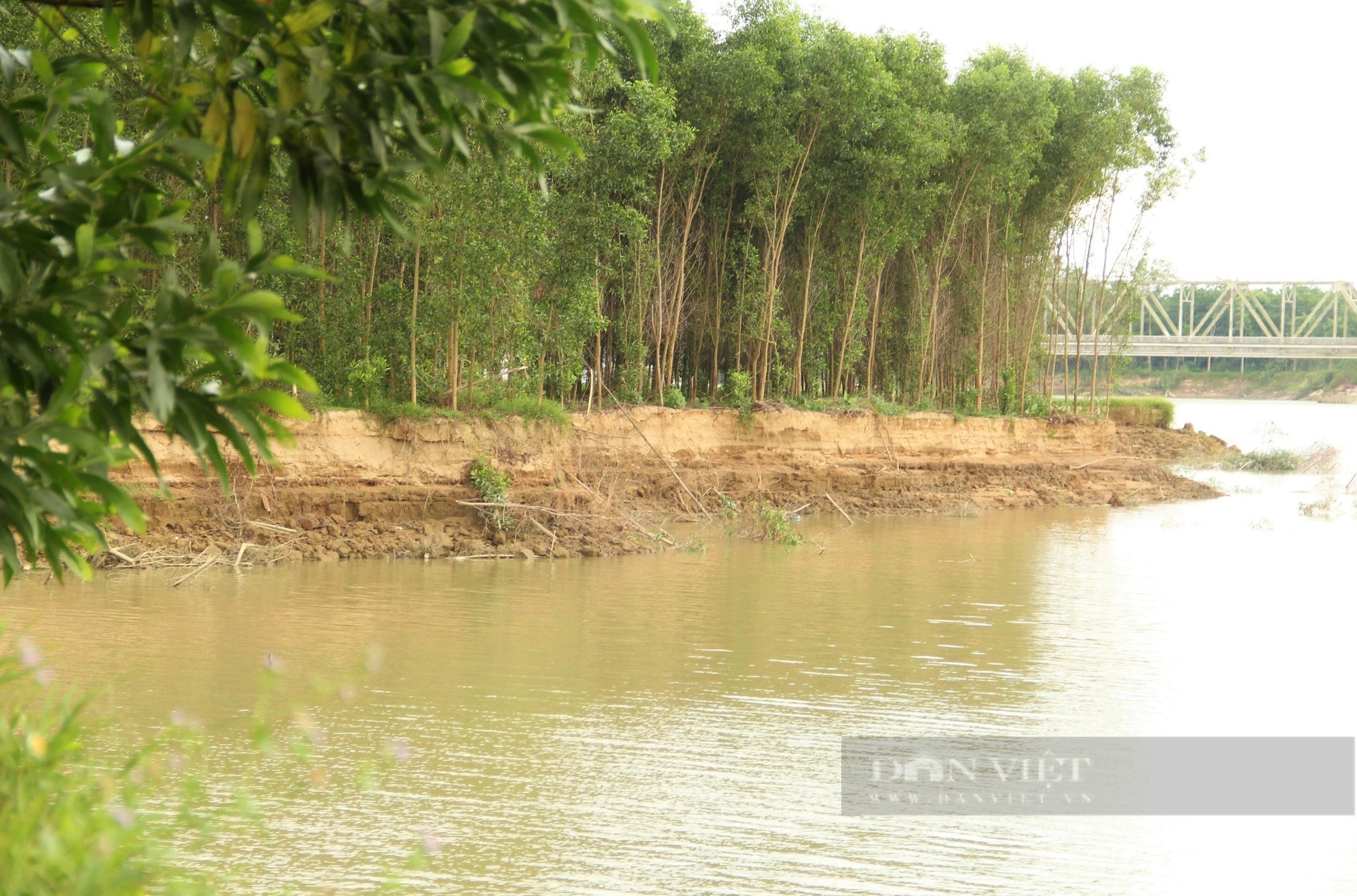 Dân Nghệ An đang lo một dòng sông nổi tiếng "nuốt trôi" đất bãi, rau màu- Ảnh 8.