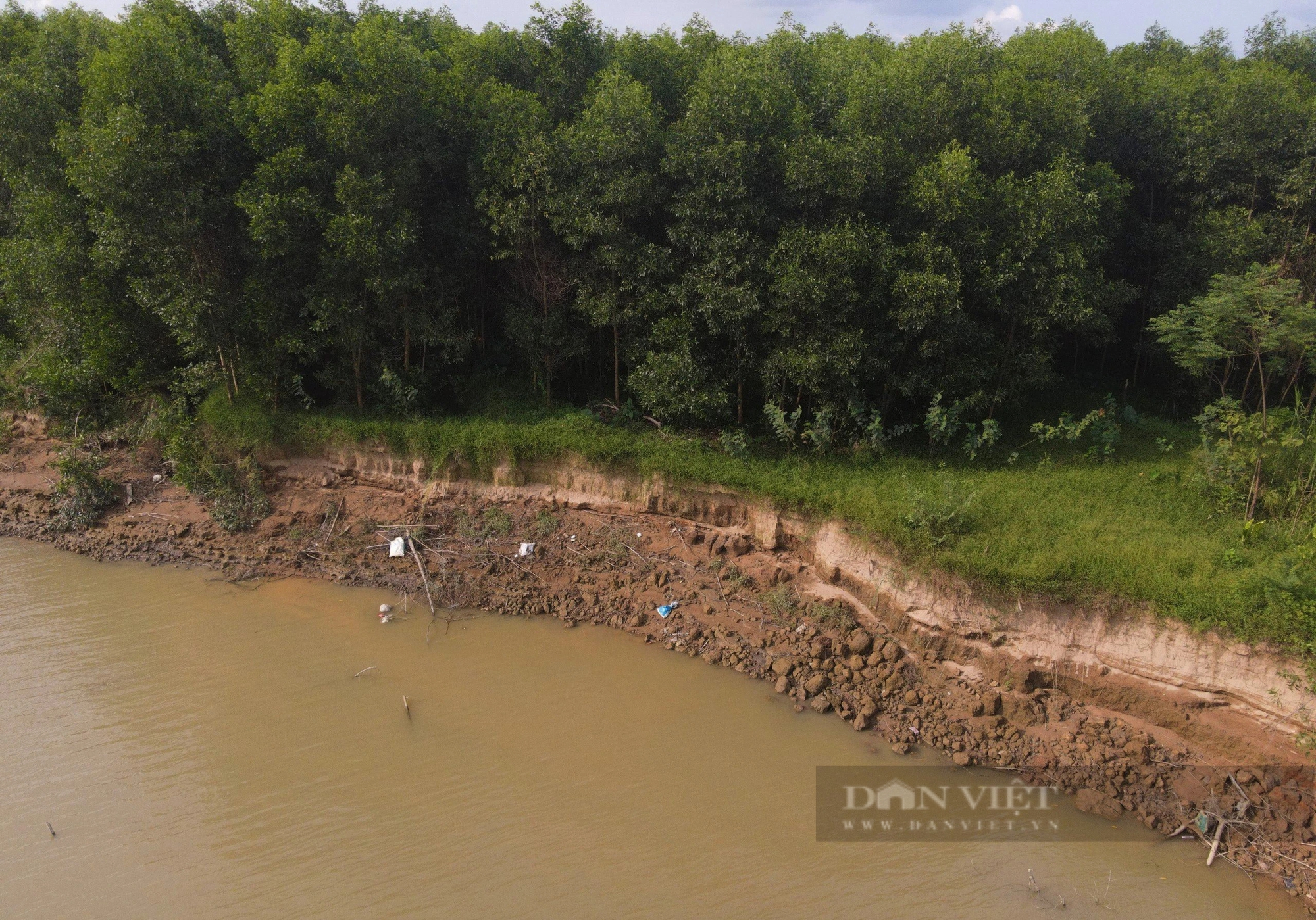 Dân Nghệ An đang lo một dòng sông nổi tiếng "nuốt trôi" đất bãi, rau màu- Ảnh 10.