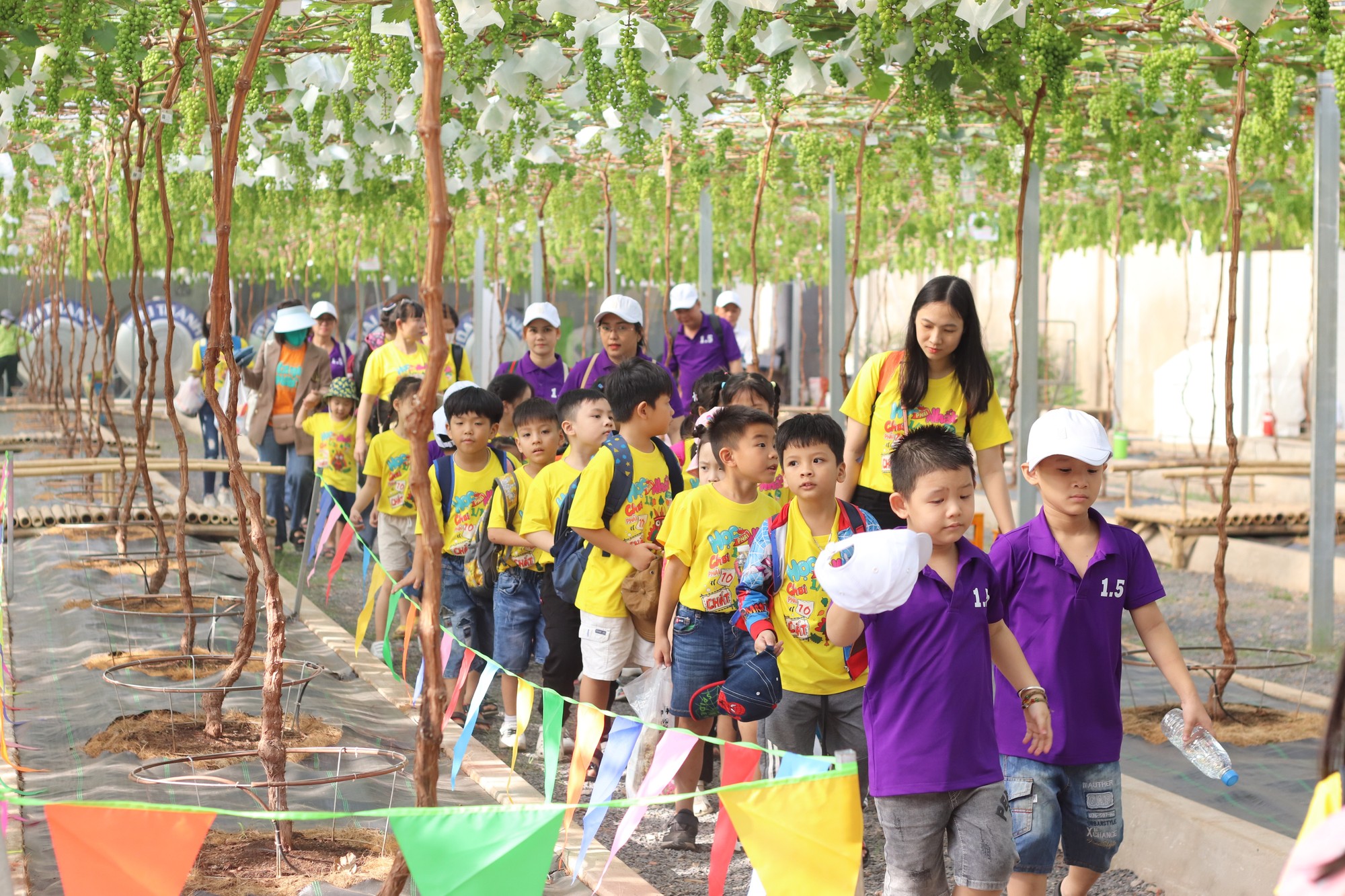 TP.HCM sắp có Vườn cây hữu nghị với 27 quốc gia được gắn bảng tên lên cây- Ảnh 1.