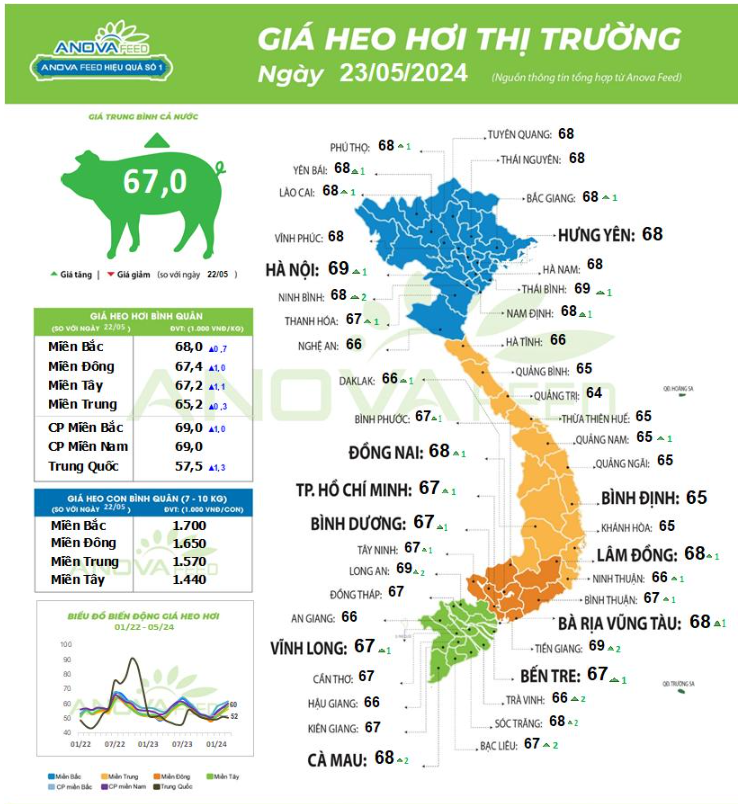 Giá lợn tăng mạnh từng ngày, hôm nay tăng trên diện rộng và lập đỉnh mới ở cả miền Nam và Bắc- Ảnh 1.