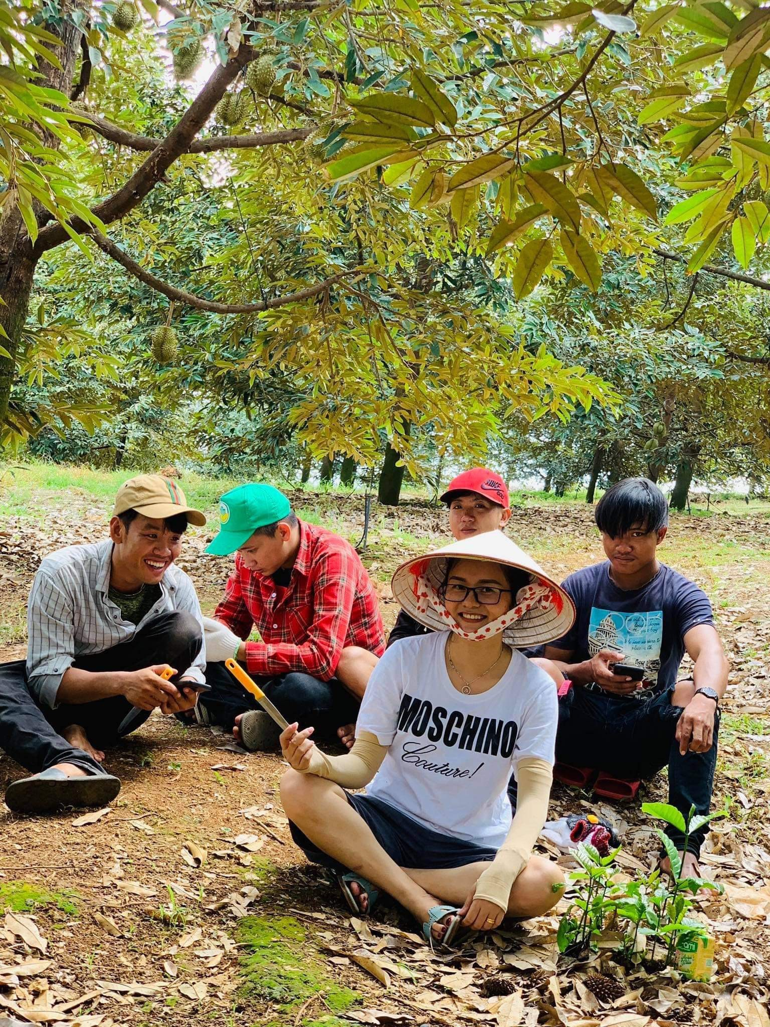 Bỏ phố về quê, khởi nghiệp kinh doanh mô hình sầu riêng hướng hữu cơ của 8x Nguyễn Thái Huyền- Ảnh 5.
