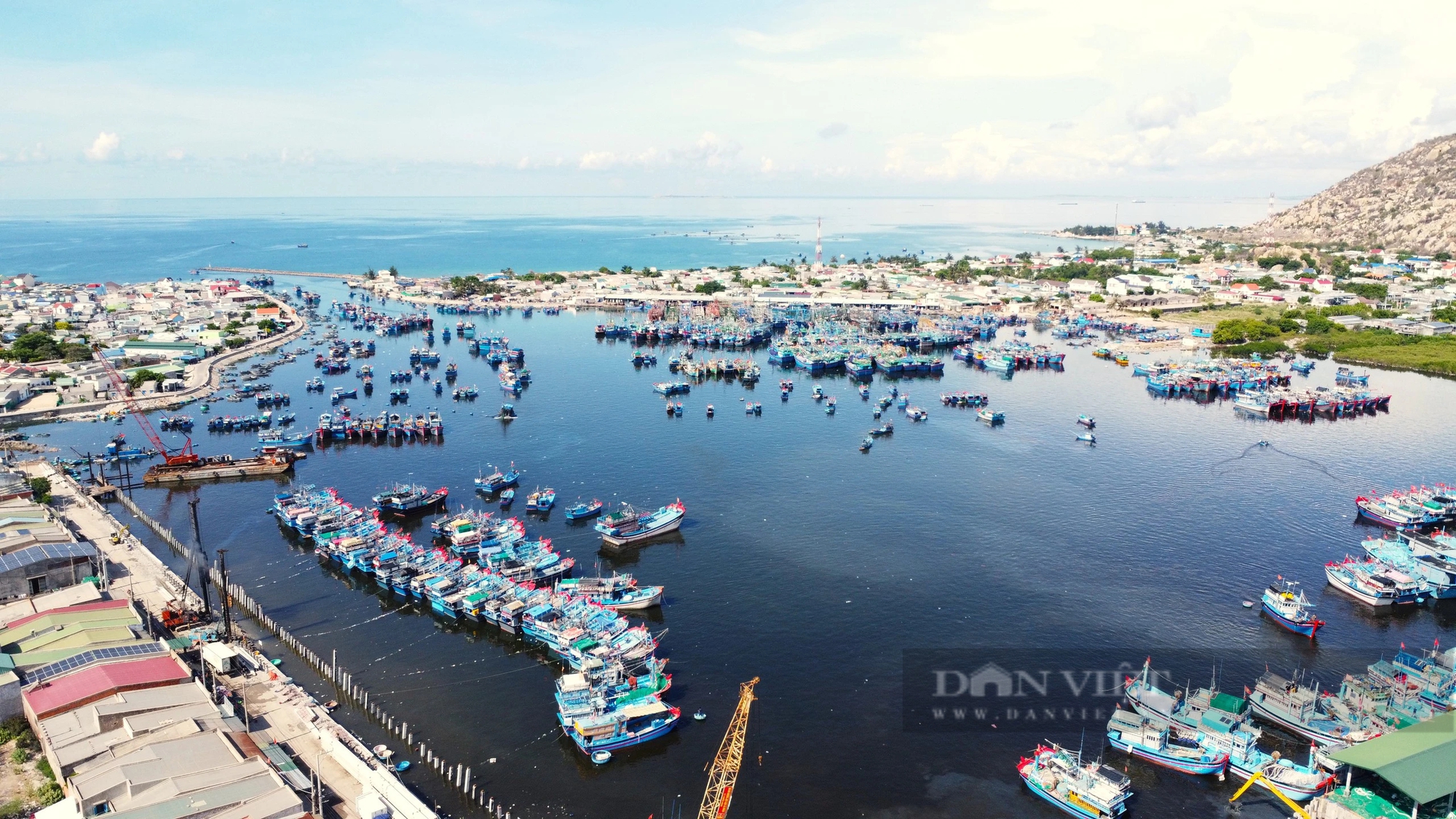 Đầu tư 214 tỷ đồng nâng cấp khu neo đậu tránh trú bão kết hợp cảng cá Cà Ná ở Ninh Thuận- Ảnh 2.
