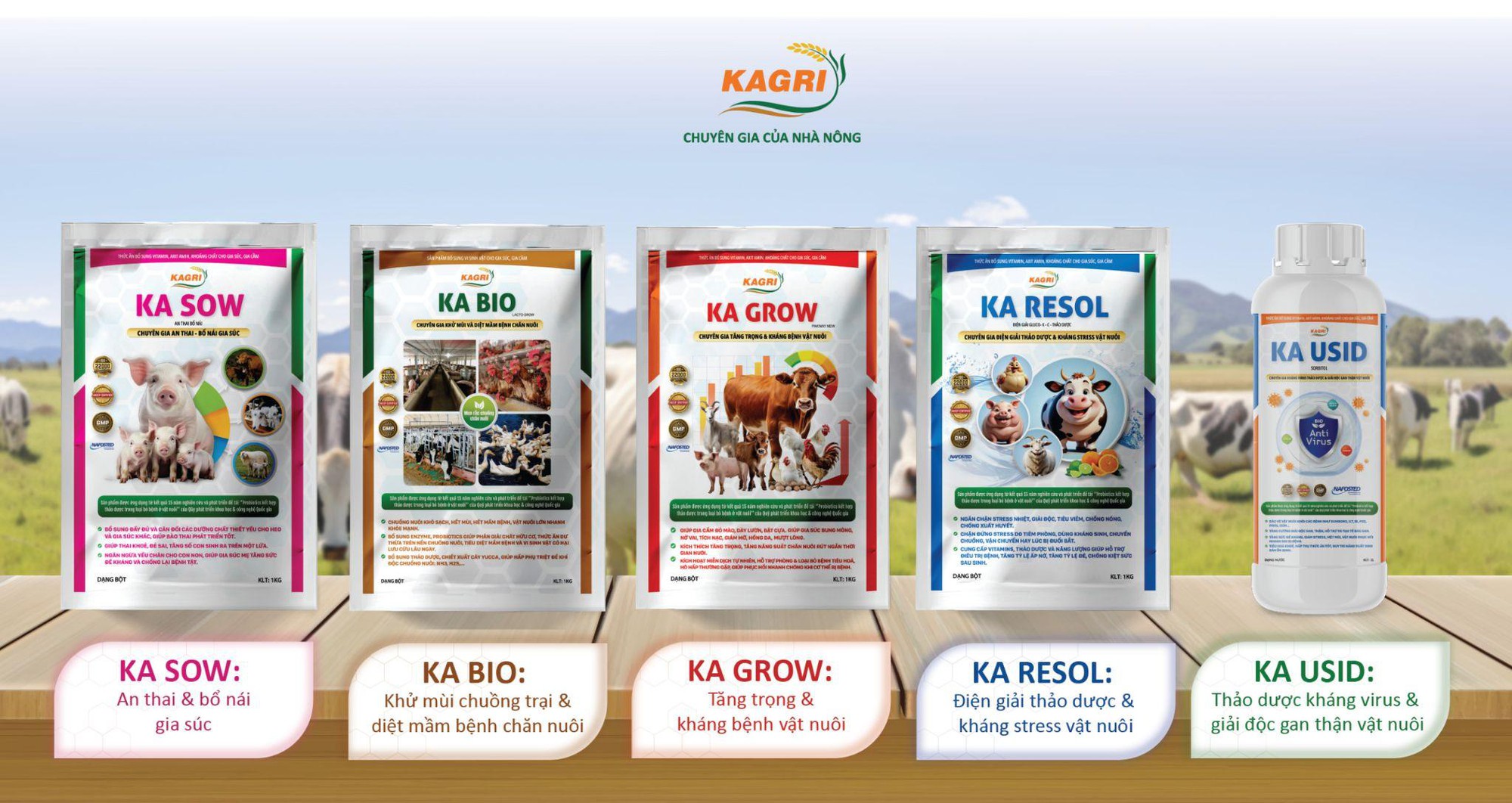 Sản phẩm chăn nuôi sử dụng kháng sinh tự nhiên chinh phục người nông dân Việt Nam- Ảnh 3.