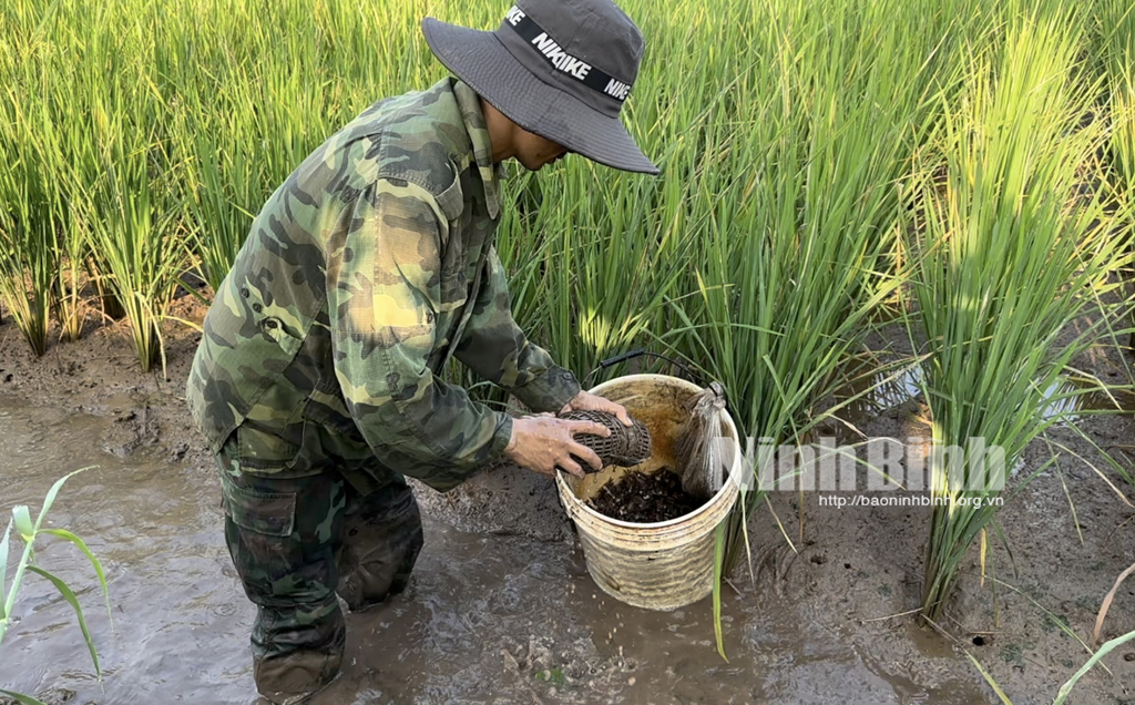 Ven một dòng sông nổi tiếng ở Ninh Bình, cả đồng thơm mùi thính dụ bắt một con đặc sản bán đắt tiền- Ảnh 7.