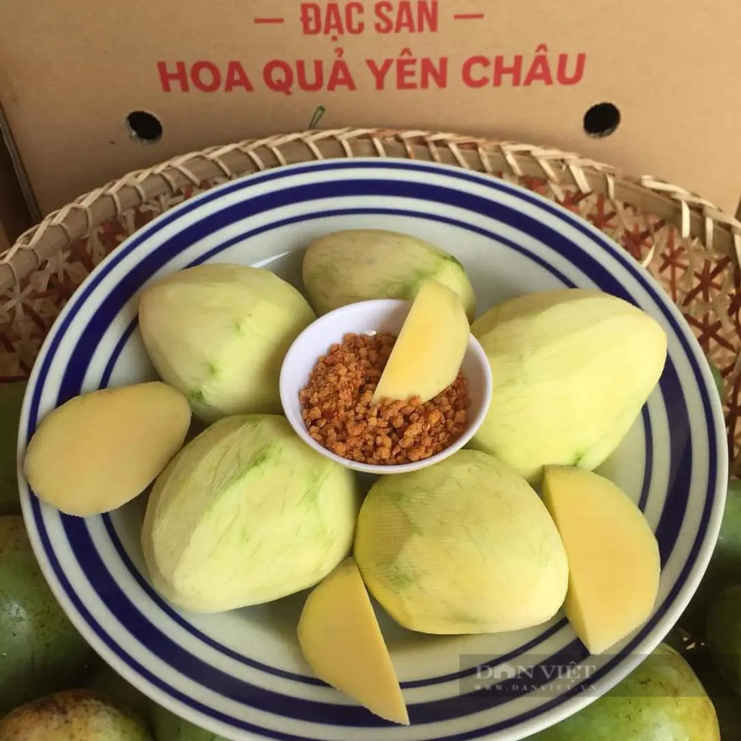 Một loại xoài ngon nổi tiếng đất Yên Châu của Sơn La đang tiêu thụ mạnh tại siêu thị Hà Nội- Ảnh 3.