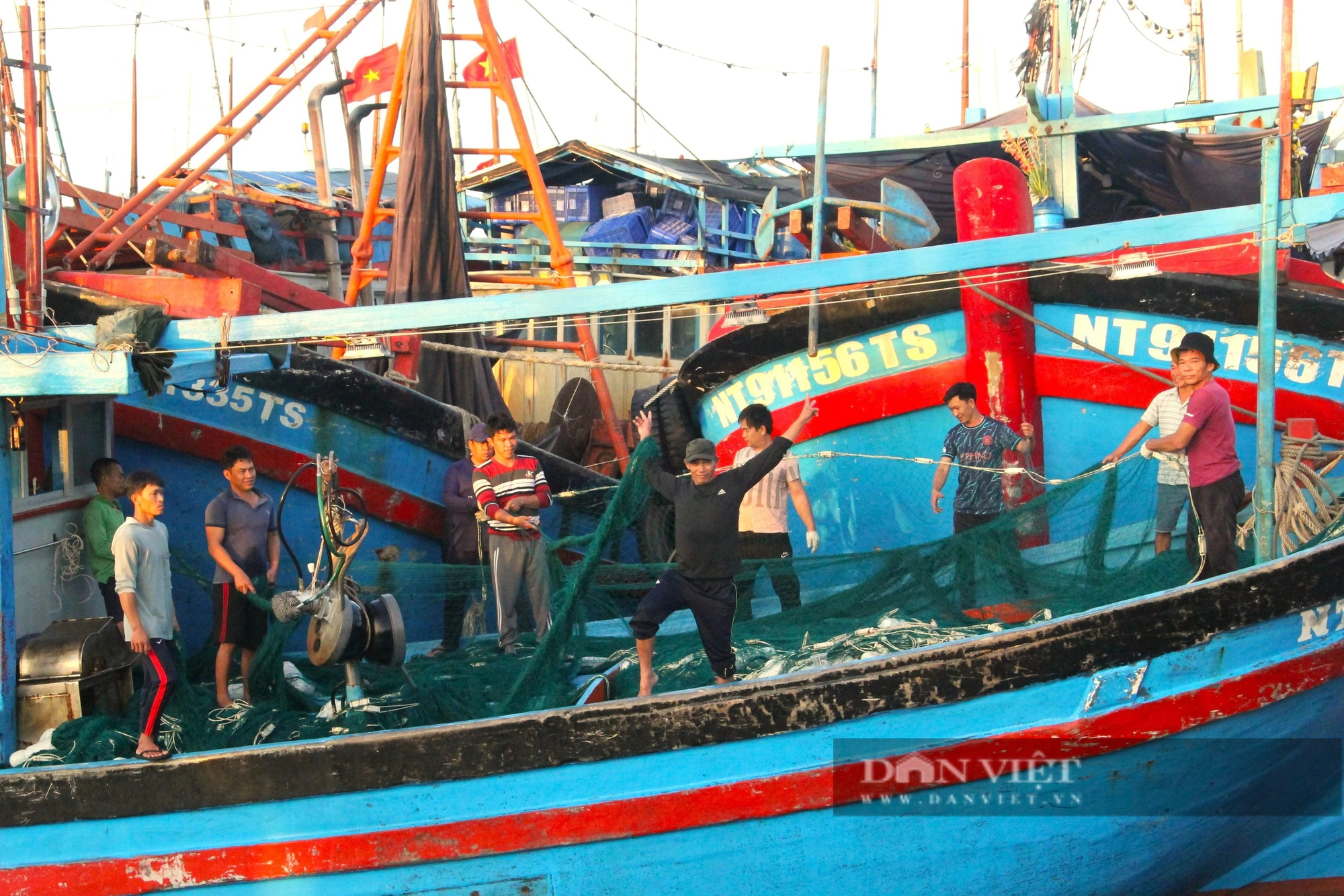 Hối hả ra biển, ngư dân Ninh Thuận kỳ vọng vụ cá nam thuyền đầy tôm cá- Ảnh 6.