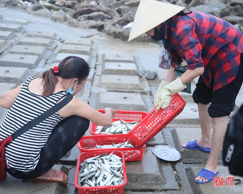 Ánh đèn pin lập lòe ở một chợ làng biển Hà Tĩnh, tới nơi thấy mua bán tấp nập cá ngon, mực to bự- Ảnh 12.