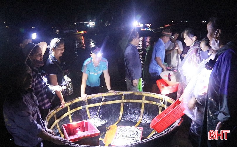 Ánh đèn pin lập lòe ở một chợ làng biển Hà Tĩnh, tới nơi thấy mua bán tấp nập cá ngon, mực to bự- Ảnh 5.