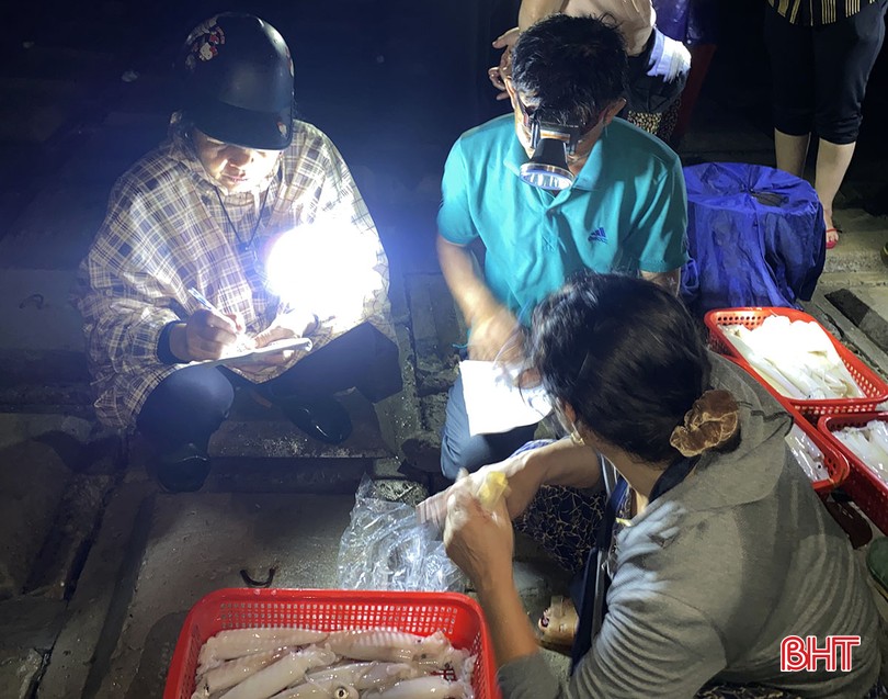 Ánh đèn pin lập lòe ở một chợ làng biển Hà Tĩnh, tới nơi thấy mua bán tấp nập cá ngon, mực to bự- Ảnh 8.
